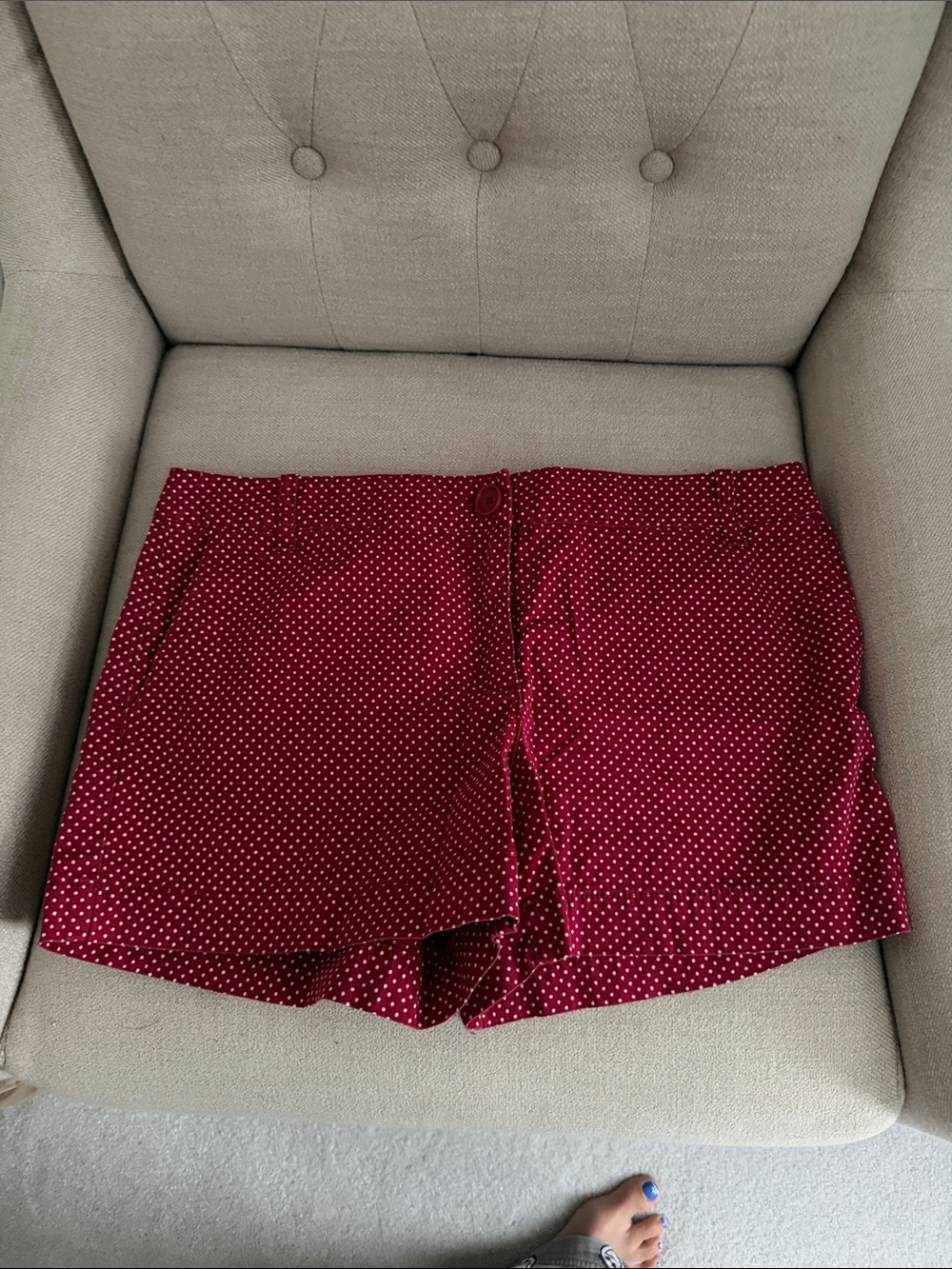 LOFT Burgundy Polka Dot Shorts